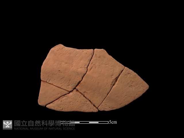 陶片藏品圖，第1張