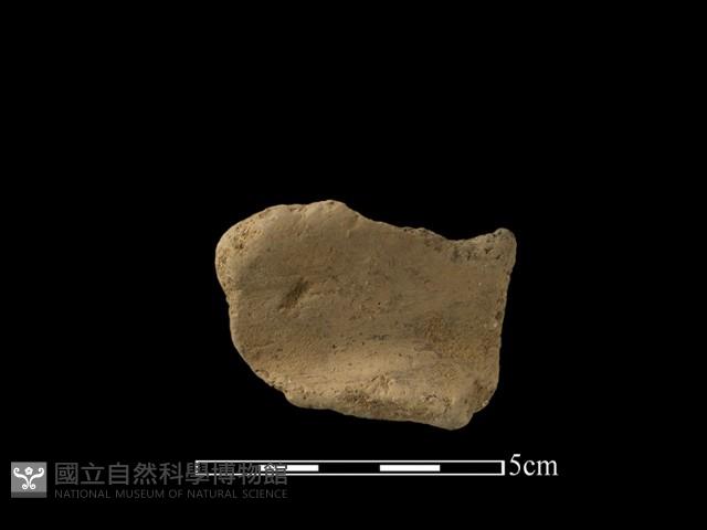 陶片藏品圖，第2張