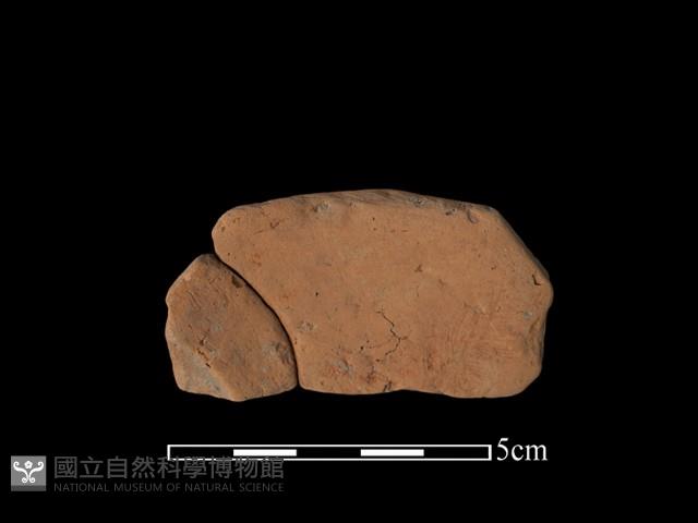 豆形器藏品圖，第2張