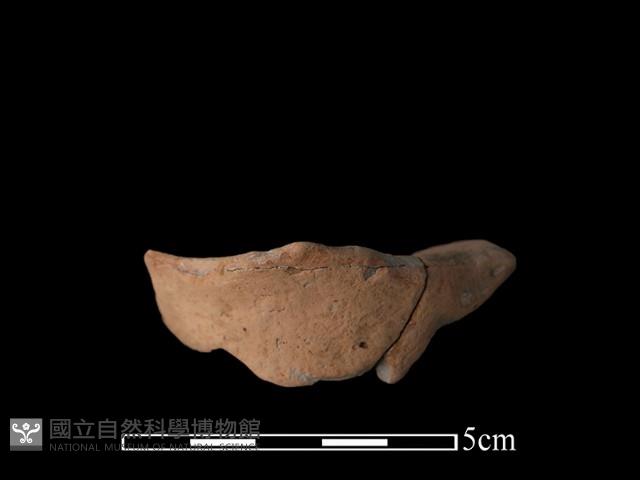 豆形器藏品圖，第1張