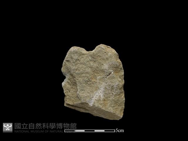 Accession Number:CTT-2014-183 Collection Image, Figure 2, Total 2 Figures