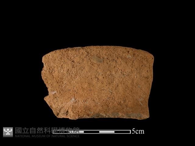 陶罐藏品圖，第1張