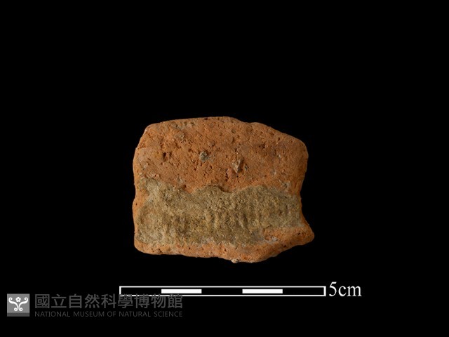 陶罐藏品圖，第1張