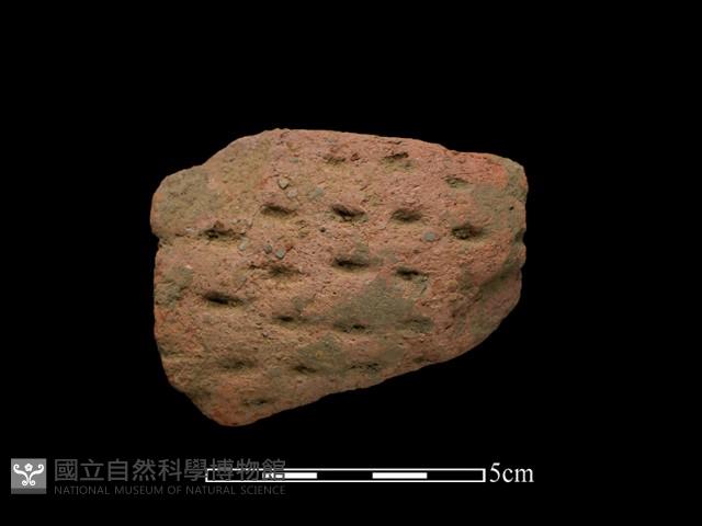 陶把藏品圖，第2張