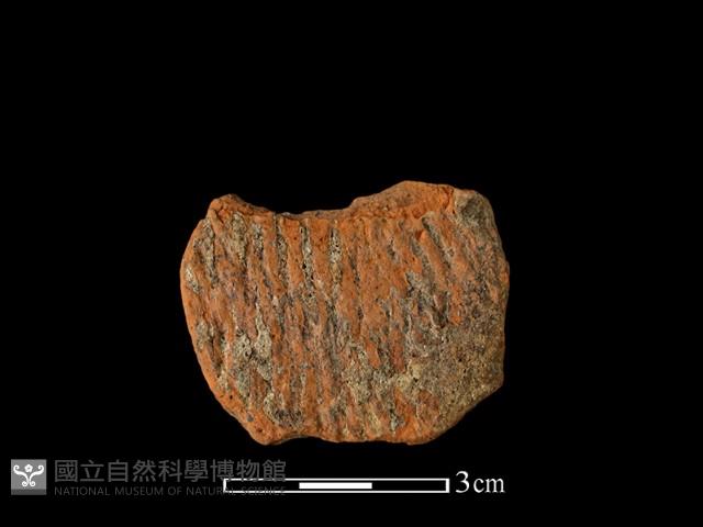 Accession Number:AHR232-2017-132 Collection Image