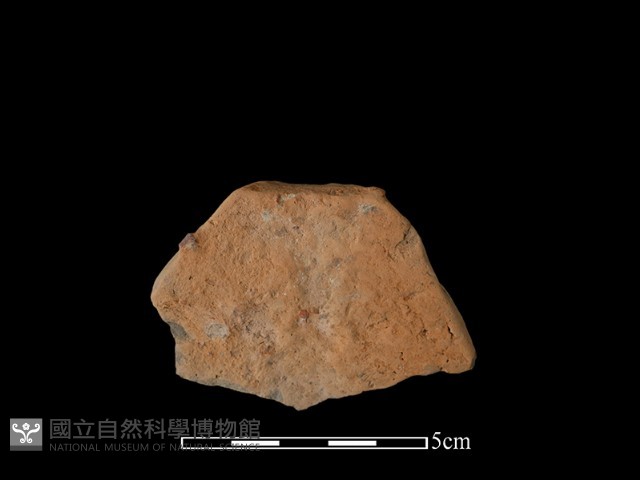 連杯形器藏品圖，第2張