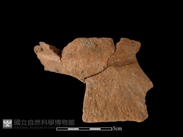 陶罐藏品圖，第1張