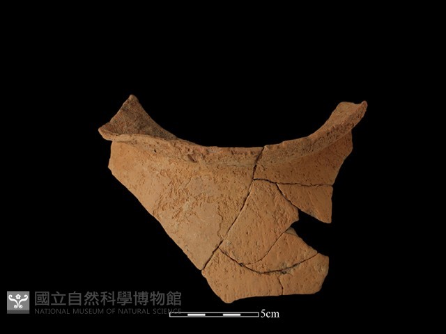陶罐藏品圖，第1張