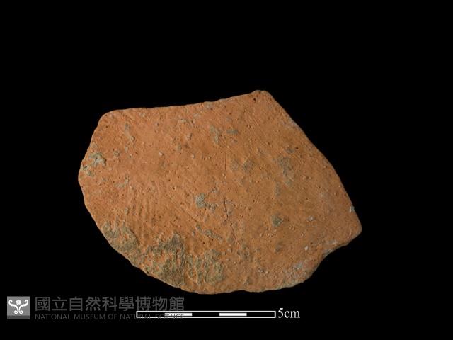 陶片藏品圖，第1張