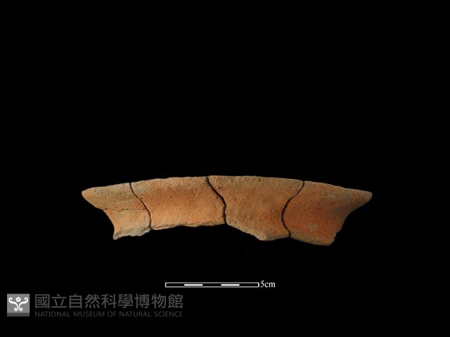陶罐藏品圖，第1張