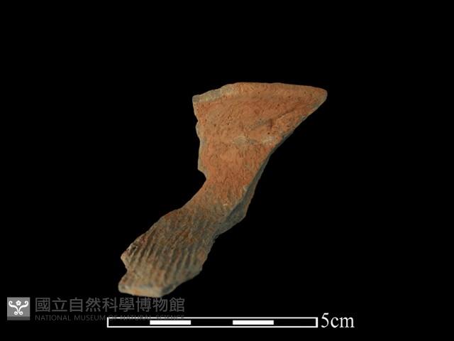 陶罐藏品圖，第1張