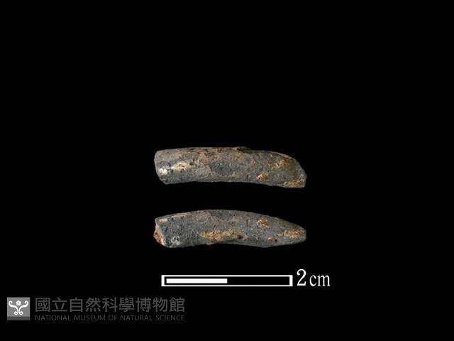 陶環藏品圖，第1張