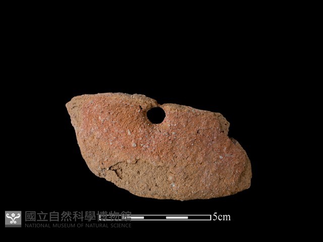 陶片藏品圖，第1張