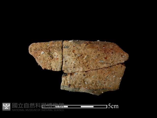 陶罐藏品圖，第2張