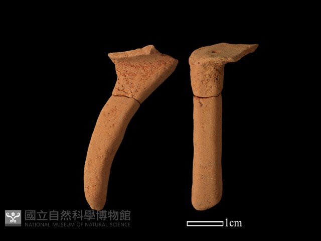 陶片藏品圖，第1張