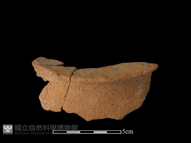 陶片藏品圖，第1張