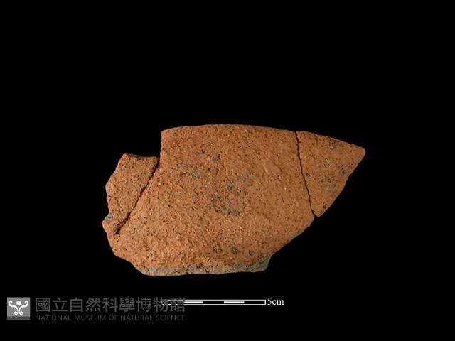 陶罐藏品圖，第2張