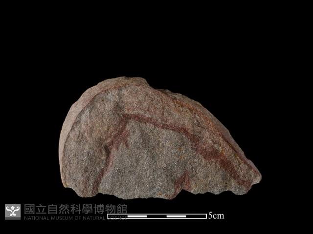 石片藏品圖，第2張