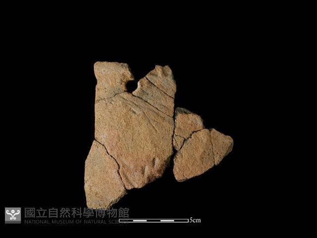 陶片藏品圖，第1張