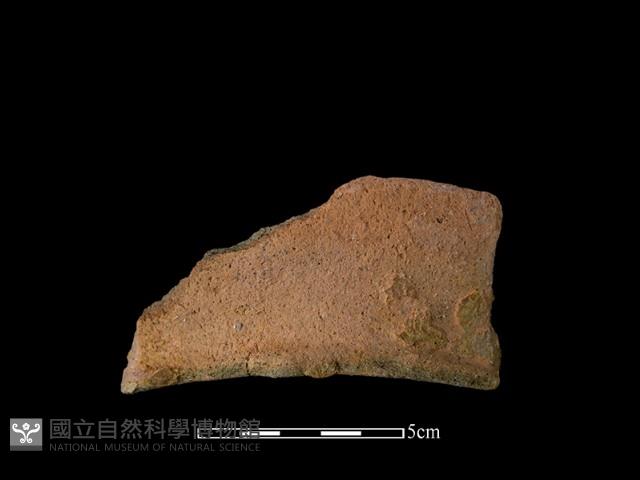 陶罐藏品圖，第2張