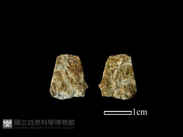矛鏃形器藏品圖，第1張
