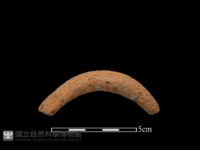 陶把藏品圖，第3張