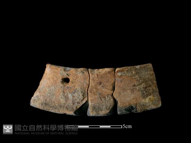 陶片藏品圖，第2張