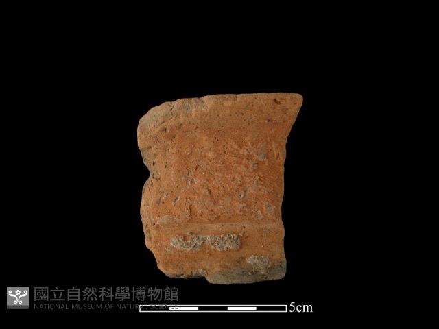 陶罐藏品圖，第1張