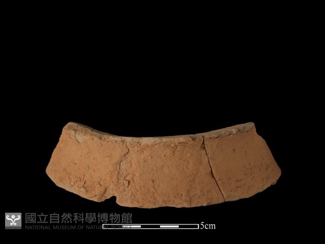 陶片藏品圖，第2張