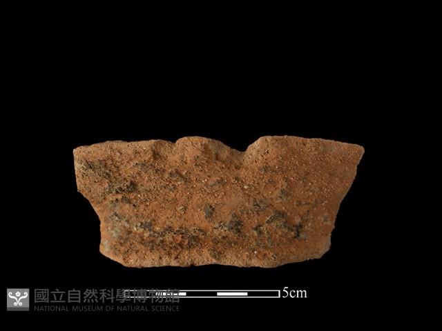 Accession Number:AHR336-2016-038 Collection Image, Figure 2, Total 2 Figures