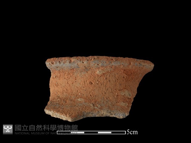 陶罐藏品圖，第1張