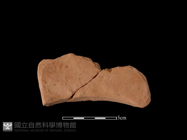 連杯形器藏品圖，第2張