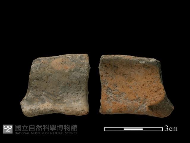 Accession Number:AHR232-2017-028 Collection Image