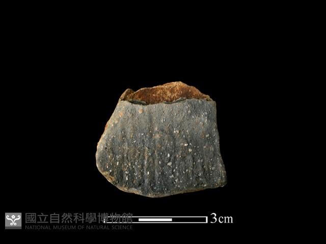 陶片藏品圖，第1張