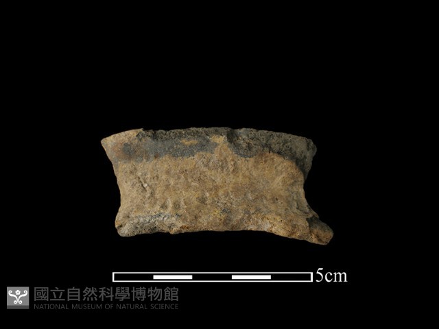 陶罐藏品圖，第2張