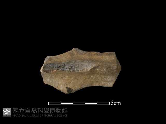 陶片藏品圖，第2張
