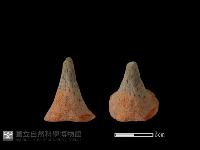 陶蓋鈕藏品圖，第1張