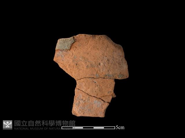 陶片藏品圖，第2張