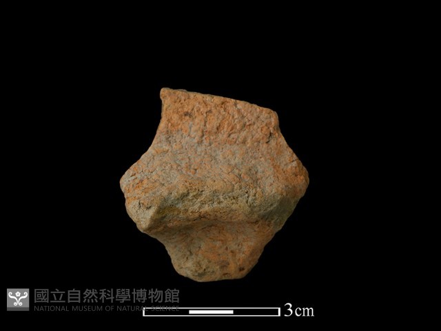 陶片藏品圖，第1張