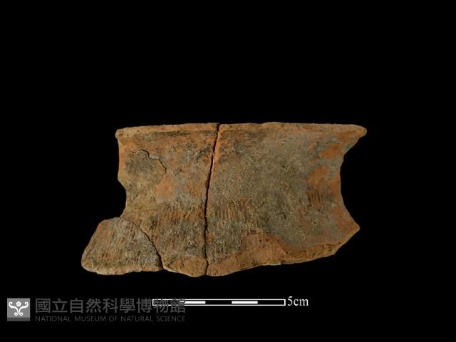 陶罐藏品圖，第1張