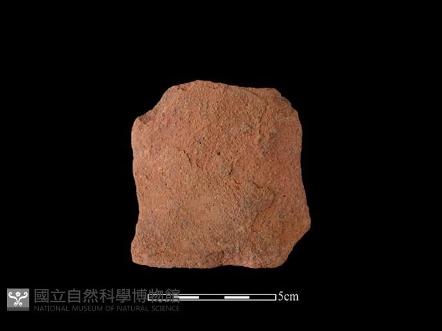 陶片藏品圖，第2張