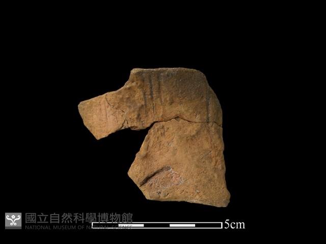 陶片藏品圖，第1張