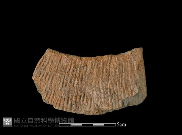 陶片藏品圖，第1張