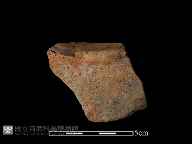陶片藏品圖，第2張