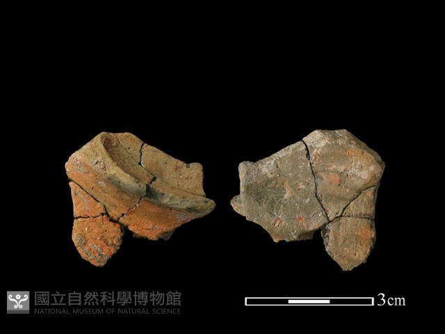 陶片藏品圖，第1張