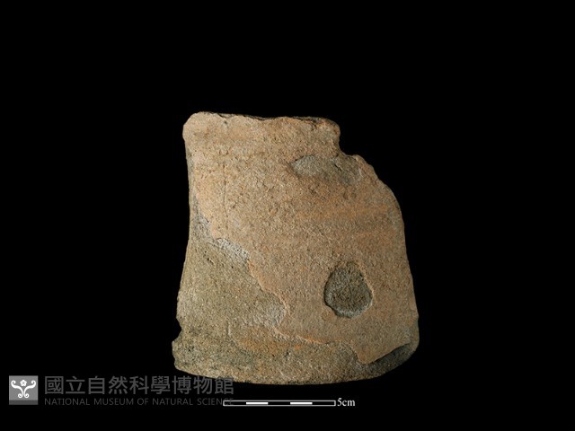 陶片藏品圖，第1張