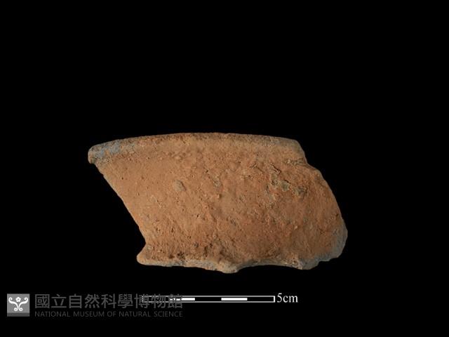 陶罐藏品圖，第2張