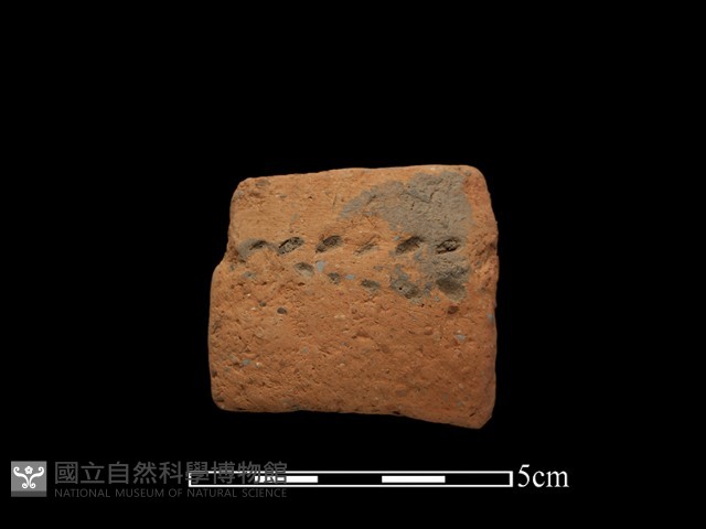 陶把藏品圖，第2張