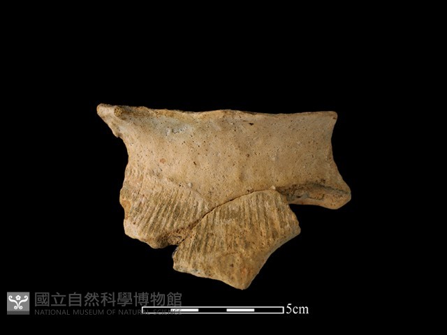 陶罐藏品圖，第1張