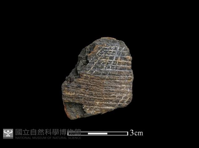 陶片藏品圖，第1張